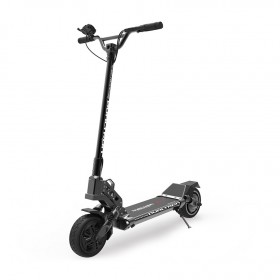 Dualtron Small 13Ah